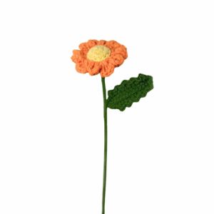 Sunshine Daisy Crochet