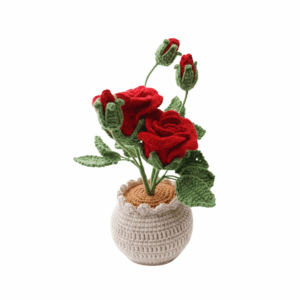 Roses with Buds in pot (2 Colors)