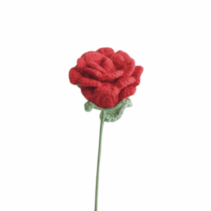 Blooming Rose (red, light pink, purple, white)