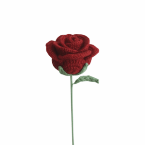 Rose Crochet (red, white, yellow, blue, purple)