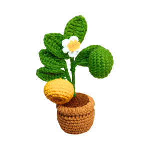 Tangerine Vase