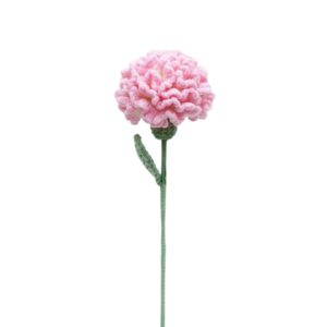 Crochet Carnation