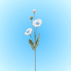 White Daisy with Buds (blue-centered, yellow-centered)