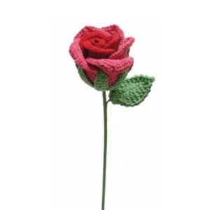 Ombre Rose Crochet (red, purple, pink, yellow)