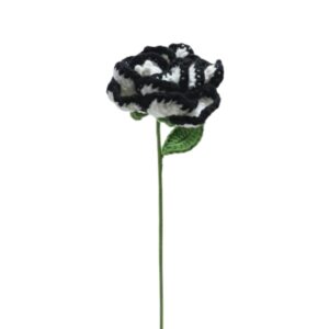 Black and White Crochet Bloom
