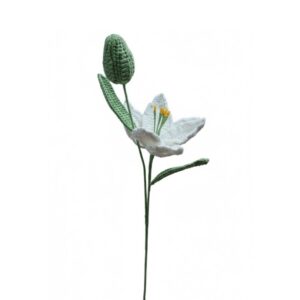 Blooming Lily with Bud