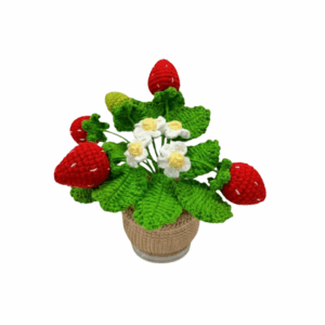 Crochet Strawberry Pot
