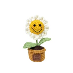 Mini Daisy Pot