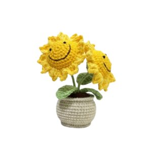 Mini Smiling Sunflowers Pot